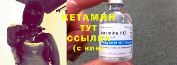 сатива Ельня