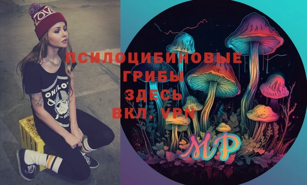 сатива Ельня