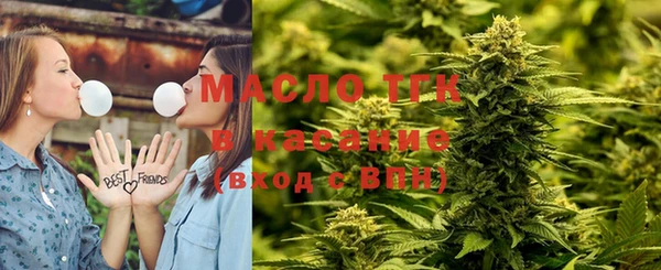 сатива Ельня