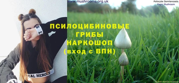 МДМА Елабуга