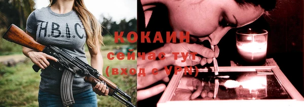 сатива Ельня