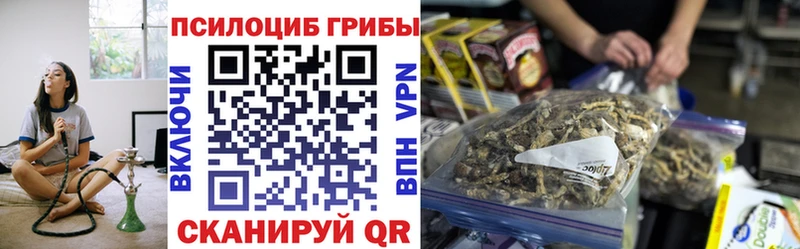 Псилоцибиновые грибы мухоморы  Купить закладки  Ковдор 