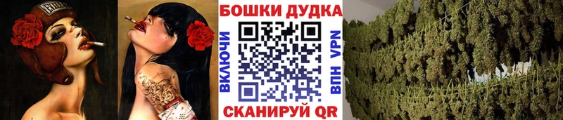 Купить  Ковдор  Канабис Amnesia 